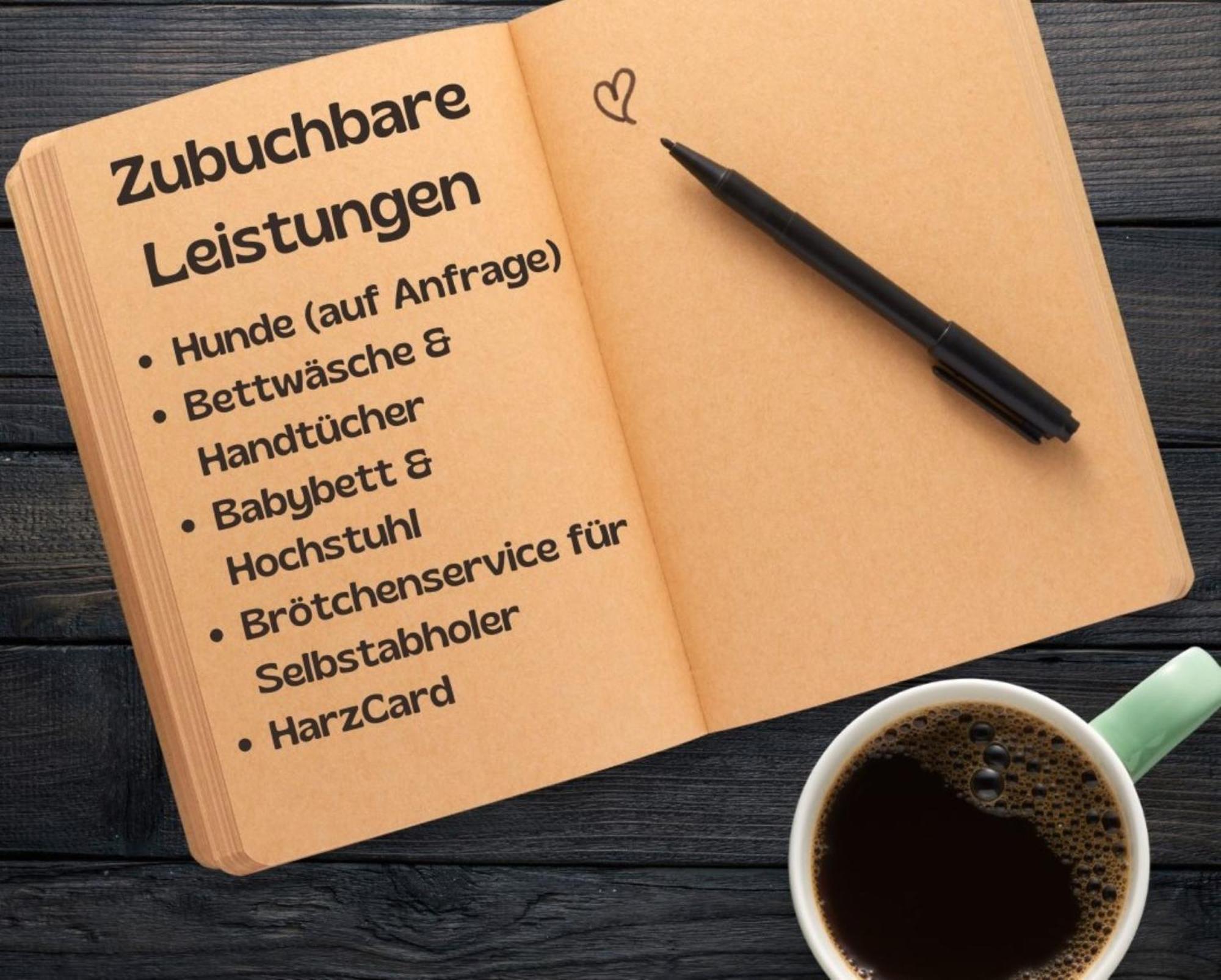 Апартаменти Bergschwalbe St. Andreasberg Санкт-Андреасберг Екстер'єр фото